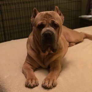 Meet your Posher, Brandye